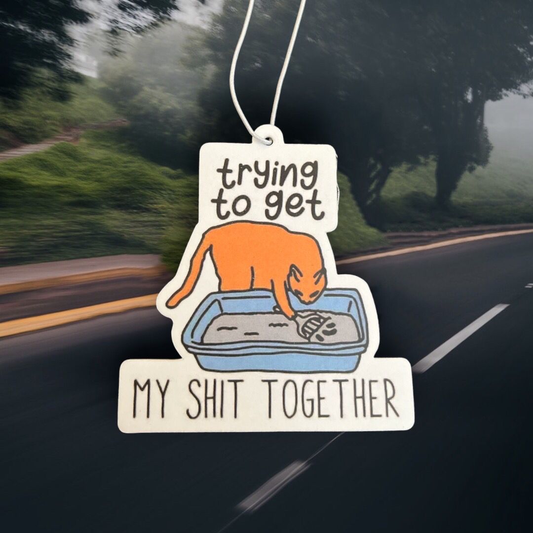 Trying to get my shit together