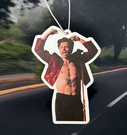 Harry styles one direction viral meme scented car air freshener | joke present | hen do valentines | new driver | birthday gift | funny